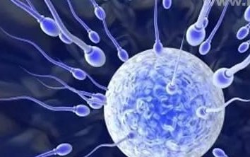 南宁试管费用大概是多少钱？附南宁试管费用明细