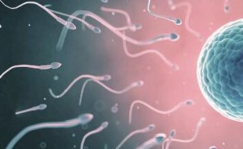 卵巢早衰适合什么方案移植？