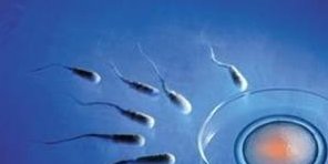 2026年西安高新医院试管婴儿全程费用曝光，明细清单来袭！